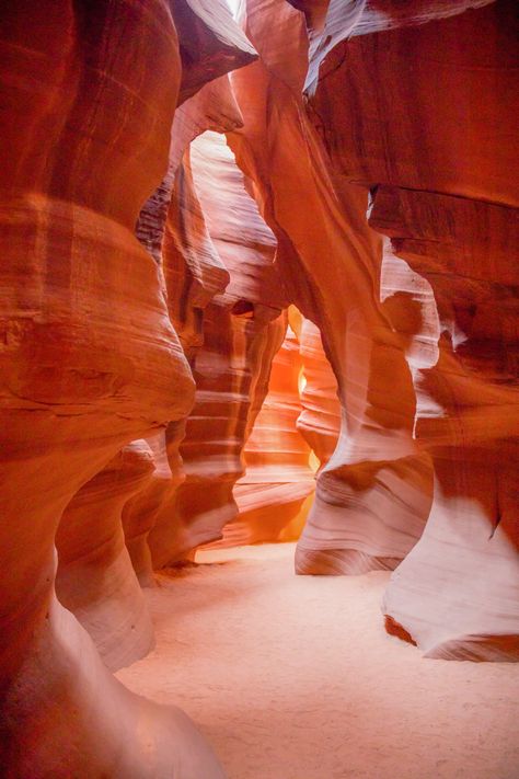 Arizona Astethic, Arizona Red Rocks, Canyons Aesthetic, Arizona Nature, Arizona Vision Board, Desert Spring, High Desert Aesthetic, Aesthetic Desert, Utah Travel Aesthetic