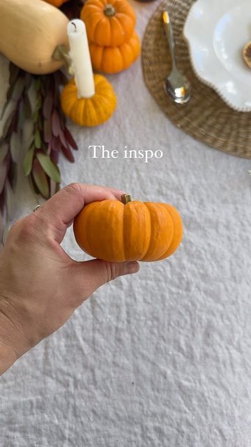 Tableshoppe Co. on Instagram: "Sharing all the details to steal this Harvest Brunch theme 🍂🫶🏻 Save for later!

Comment “HARVEST” and I’ll send you all the links to tablescape decor and invites. Follow @tableshoppeco to make sure they make it to your inbox 📥 

Feeling inspired to host a fall gathering? Here’s what I did— 

Our Autumn Gathering invitation templates can be printed at home or sent digitally. 

For the table I used little pumpkins and butternut squash as the centerpiece. Cut out a few of the tops from the mini pumpkins for my taper candles. Layered all of this on top of a neutral linen tablecloth with rattan chargers and my favorite ruffle plates. 

For food I got it all from Trader Joe’s— gruyere and bacon grilled cheese on sourdough with hot honey drizzle. Pumpkin soup or Autumn Gathering, Honey Drizzle, Rattan Charger, Bacon Grilled Cheese, Fall Gathering, Hot Honey, Feeling Inspired, Mini Pumpkins, Pumpkin Soup