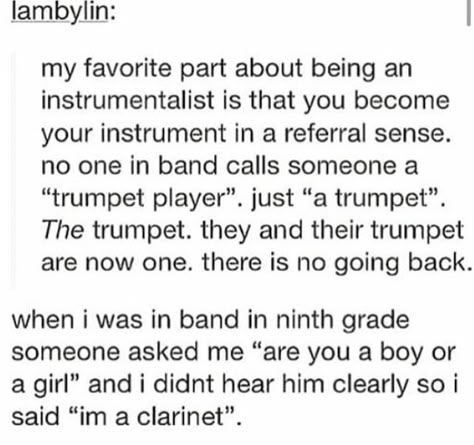 Band Tumblr, Musical Jokes, Marching Band Memes, Marching Band Humor, Band Jokes, Music Jokes, Learning Guitar, Band Nerd, Music Nerd