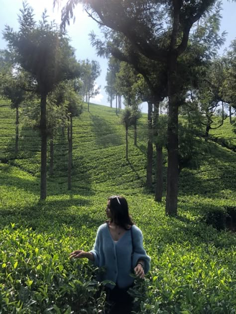 Munnar Outfit Ideas Women, Hill Station Dress Ideas, Ooty Photography Poses, Munnar Kerala Photography Poses, Wayanad Trip Outfits, Tea Garden Photography Pose, Kashmir Aesthetic Outfit, Darjeeling Aesthetic Outfit, Hill Station Couple Photos