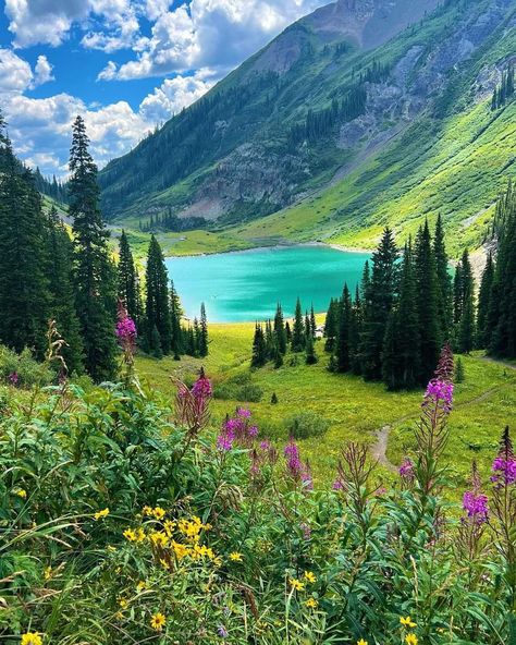 Emerald Lake In Crested Butte, Colorado, USA. Magical Places Aesthetic, Magic Places Fantasy Dreams, Summer Vacation Destinations, World Most Beautiful Place, Adventure Travel Explore, Emerald Lake, Crested Butte, Pretty Landscapes, Places In The World