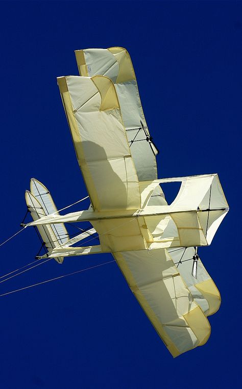 A Box kite based on the historic Wright Flier. In fact, the work of Wilbur and Orville was influenced by the tested ideas of an Australian, Lawrence Hargrave. Inventor of the Box kite! T.P. (my-best-kite.com) "plane" Cropped from a photo by Kim Van Horn on Flickr (cc). Homemade Kites, Diy Kite, Box Kite, Wright Flyer, Kite Making, Kite Designs, Go Fly A Kite, Van Horn, Kite Flying