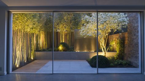 John Davies Landscape has been featured twice in The most popular outdoor living Photos of 2015 for Houzz Modern Garden Lighting, Asian Garden, Contemporary Garden, Camping Ideas, Courtyard Garden, Garden Yard, Modern Landscaping, Back Garden, Small Gardens