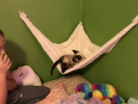 Homemade Cat Hammock, Corner Cat Hammock, Crochet Cat Hammock, Cat Hammock Diy, Cat Hammock Crochet, Wobbly Cat, Diy Cat Hammock, Cat Gang, Cat Enrichment