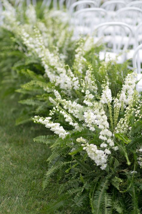 DÉCOR Ferns Wedding, Wedding Aisles, Wedding Ceremony Chairs, Fern Wedding, Wedding Ceremony Ideas, Ceremony Chairs, Aisle Flowers, Wedding Ceremony Flowers, Organic Wedding