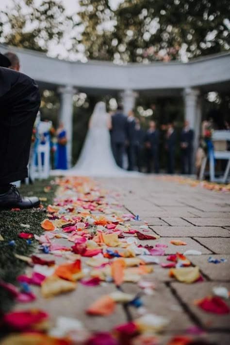 Assorted color rose petals line the aisle. Designed by Jen-Mor Florist, Dover, Delaware www.jenmor.com Wildflower Petals Wedding Aisle, Petals On Aisle Wedding, Colorful Petals Wedding Aisle, Flower Peddles Down The Aisle, Flower Petals Down Aisle, Aisle Arrangements, Vaughan House, Rose Petal Aisle, Wedding Walkway