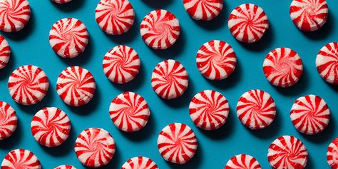 6 Benefits of Peppermint ~ Need help? Let's connect! www.facebook.com/GetFit2StayHealthy ... I'll help you! #GetFit2StayHealthy #HealthTips Benefits Of Peppermint, Foods For Migraines, Peppermint Treats, Christmas Bingo Cards, Mint Gum, Peppermint Lip Balm, Peppermint Candy Cane, Candy Art, Christmas Sweets