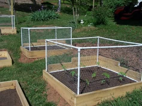 A great raised garden idea with a small fence to protect the plants from pesky little critters! #greatgardens Plantarea Legumelor, Veggie Gardens, Raised Vegetable Gardens, Garden Magazine, Mountain Men, Garden Planner, Square Foot Gardening, Raised Bed, Garden Pests