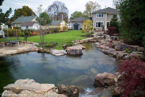 Recreational Pond, Swimming Pool Fountains, Swimming Ponds, Pool Pond, Urban Backyard, Natural Swimming Ponds, Pond Maintenance, Pond Ideas, Pond Waterfall