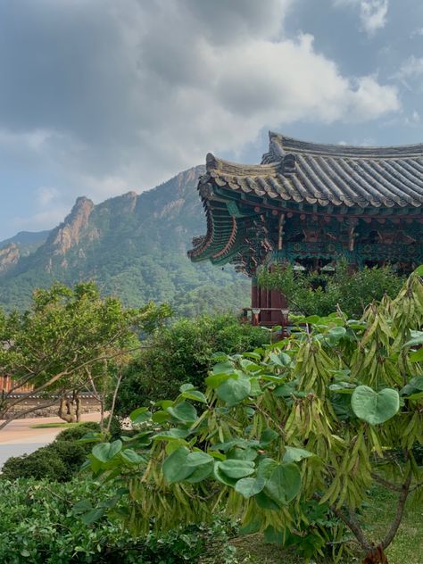 #mountains #park #traditional #Sokcho #nationalpark #Seoraksan #Korea #travel #tourism Sokcho Korea, Seoraksan National Park, Mountains Travel, Mountain Travel, Jeju Island, Korea Travel, Island Travel, Dream Team, Pretty Pictures