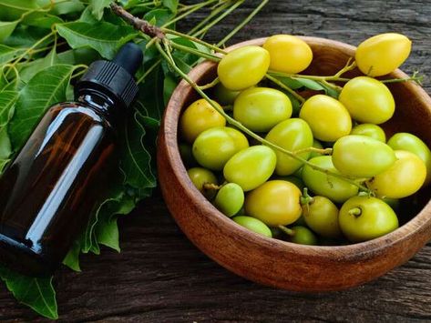 Everything You Need To Know About Neem Oil For Skin. Neem oil benefits, side effects, and how to use for the skin. Neem Oil Benefits, Neem Oil For Skin, Castor Oil For Skin, Oil For Skin, Inflammation Causes, Oil Mix, Neem Oil, Oil Benefits, How To Treat Acne