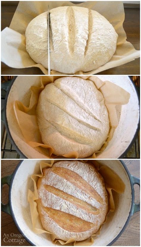 Baking super easy artisan bread in an enameled cast iron dutch oven Sweet Sandwiches, Easy Artisan Bread, Dutch Oven Bread, Enamel Dutch Oven, Pane Dolce, Making Bread, Artisan Bread Recipes, Make Bread, Dutch Oven Cooking