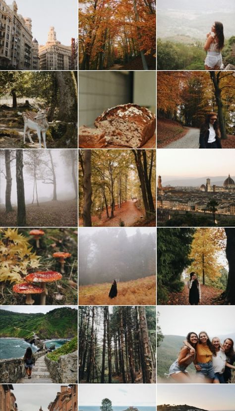 Autumn Aesthetic Instagram Feed, Nature Feed Instagram, Aestethic Instagram Feed, Autumn Feed Instagram, Natural Instagram Feed, Aesthetic Art Instagram Feed, Fall Instagram Feed, Instagram Theme Ideas Color Schemes, Autumn Instagram Feed