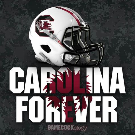 Ts..... Gamecock Nation, South Carolina Football, Gamecocks Football, Go Gamecocks, Usc Gamecocks, Carolina Football, College Football Teams, Carolina Girl, Football Love