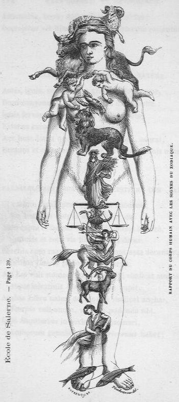 Medical Astrology, Alchemy Art, Esoteric Art, Astrology Art, Medical Anatomy, Occult Art, Sign Zodiac, Arte Inspo, The Human Body