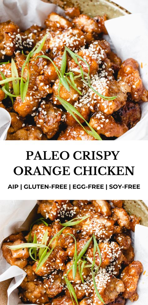 Aip Grilled Chicken, Paleo Korean Chicken, Aip Chicken Pho, Aip Gluten Free Recipes, No Eggs No Dairy Recipes, Paleo Chinese Recipes, Paleo Thai Chicken, Paleo Chicken Gravy, Paleo Meal Recipes