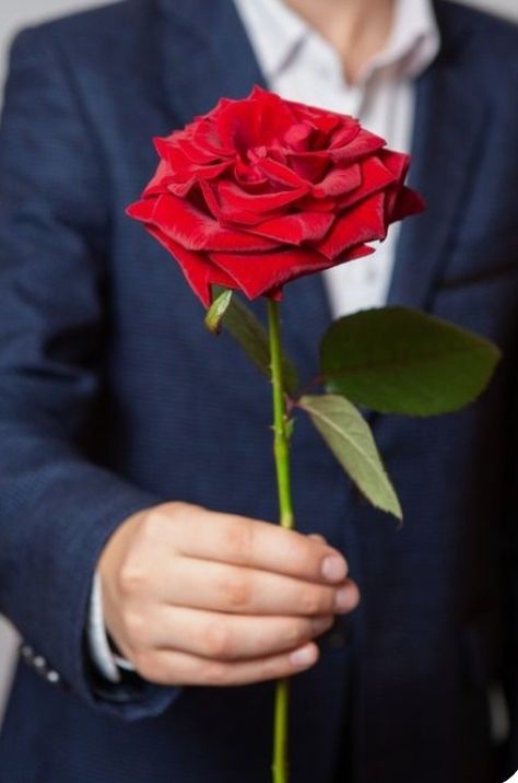 Rose In Hand, Rose Pic, Rose Flower Photos, Love Rose Flower, Red Roses Wallpaper, Giving Flowers, Single Red Rose, Rose Flower Pictures, Rose Gold Wallpaper