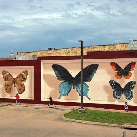 Falling Water Architecture, Basketball Aesthetic, Fort Smith Arkansas, Parterre Garden, Types Of Butterflies, Hot Springs Arkansas, Eureka Springs, Fort Smith, Outdoors Tattoo