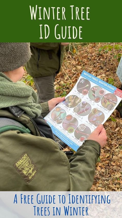 For anyone looking to improve their tree identification skills winter provides us with many distinctive signs such as buds, bark, twigs and fallen leaf litter that we can use to recognise our native and common tree species. The clues are all there if you know how to look. Check out our downloadable Winter Tree ID Guide for distinctive features of native trees in Winter. Winter Forest School, Tree Identification Chart For Kids, Tree Leaves Identification, How To Identify Trees By Leaves, Pine Tree Identification Chart, Plants Identification, Tree Identification Chart, Conifer Identification, Bark Identification