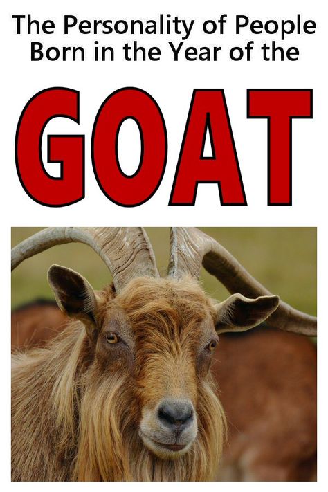 Year of the Goat - Personality of People Born in the Year of the Goat (or Sheep) Year Of The Goat Chinese Zodiac, Characteristics Of People, Year Of The Sheep, December Horoscope, Year Of The Goat, Zodiac Years, Rap Lyrics Quotes, Famous Movie Quotes, Chinese Year