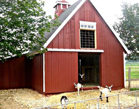 3 Small Animal Barn Plans Complete Pole-Barn Construction | Etsy Small Animal Barn, Pole Barn Construction, Pole Barn Designs, Dreamy Backyard, Pole Barn Plans, Barn Layout, Backyard Barn, Small Barns, Building A Pole Barn