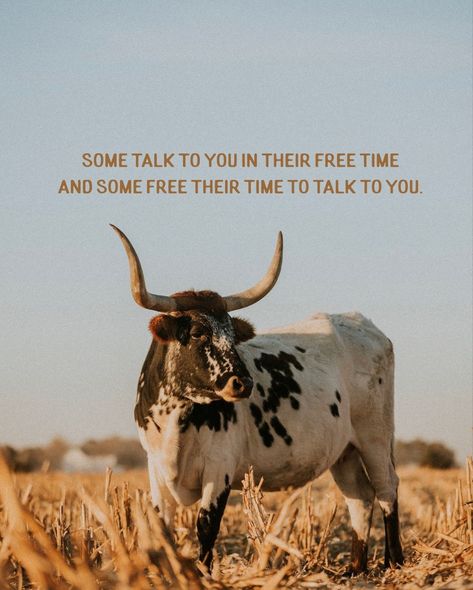 Country Lyrics Quotes, Rodeo Quotes, Inspirational Horse Quotes, Western Quotes, Horse Riding Quotes, Cowboy Quotes, Cowgirl Quotes, Western Photo, Country Music Quotes