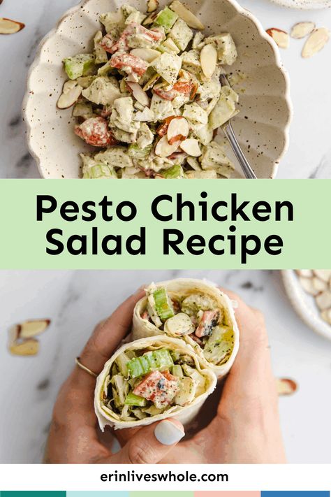 Feed a crowd with this delicious, easy Pesto Chicken Salad Recipe. It's made with 10 simple ingredients and is the perfect way to enjoy a filling, protein rich meal! Easy Pesto Chicken, Pesto Chicken Salad, Pesto Salad, Chicken Salad Recipe, Easy Healthy Meal Prep, Best Salad Recipes, Feed A Crowd, Easy Lunch Recipes, Gluten Free Recipes Easy