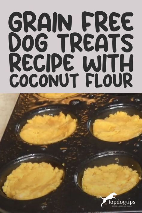 Grain Free Dog Treats Recipe with Coconut Flour Grain Free Dog Treats Homemade, Coconut Flour Dog Treats, Dog Snacks Recipes, Homemade Dog Treats Grain Free, Recipes Using Coconut Flour, Healthy Dog Snacks, Grain Free Dog Treats, Substitute Ingredients, Cook Dog Food