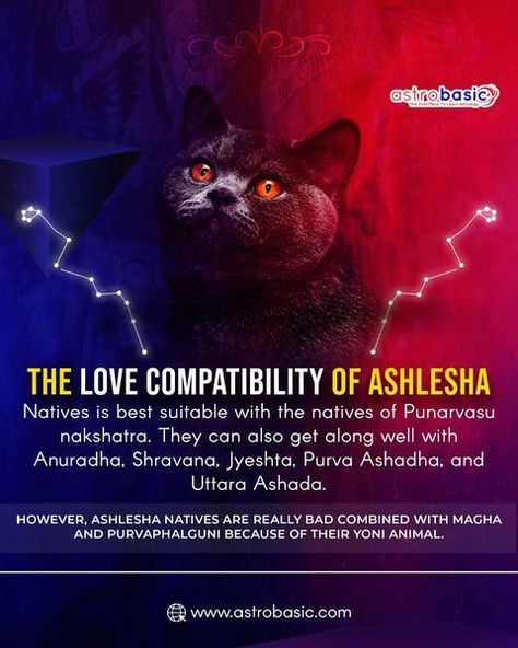 Ashlesha Nakshatra, Genie Lamp, Love Compatibility, Astrology Numerology, Astrology, Read More