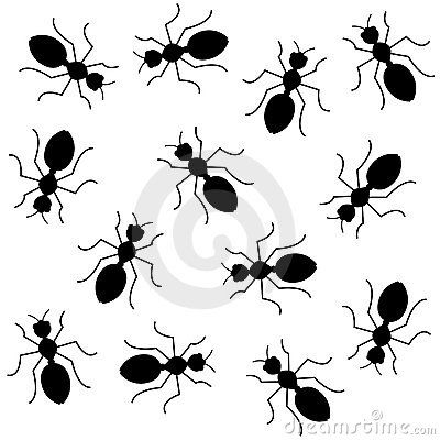 Black ants Seamless background Ants Printable, Tiny Ants, Ant Art, Black Ants, Bird Template, Clipart Black And White, Seamless Background, Bugs And Insects, Stencil Designs