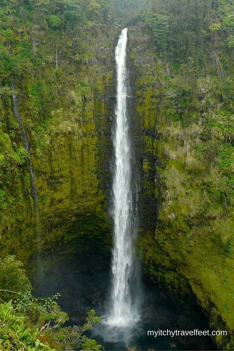 Akaka Falls, Hawaii Waterfalls, Hawaii Big Island, Hawaiian Vacation, Waterfall Photography, Big Island Hawaii, Hawaii Island, Hawaii Vacation, Beautiful Waterfalls