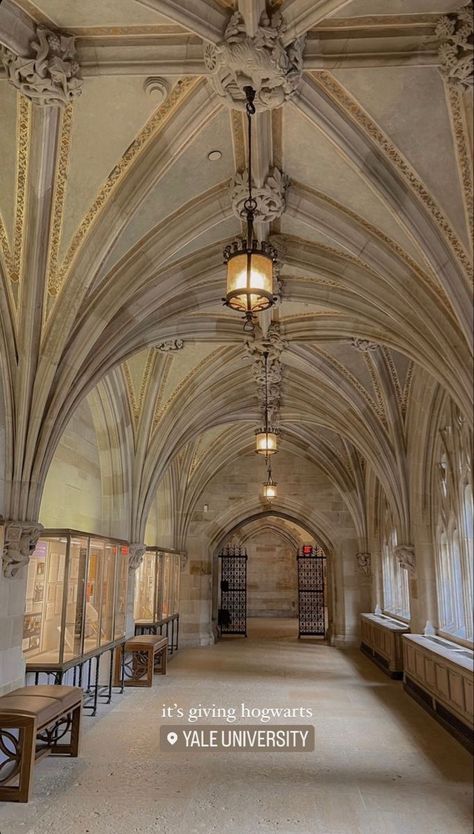 Yale University Interior, Ivy League Library Aesthetic, Yale Library Aesthetic, Students Life Aesthetic, Yale University Library, Romantizing University Aesthetic, Ivy College Aesthetic, University Astethic, Yale Campus Aesthetic