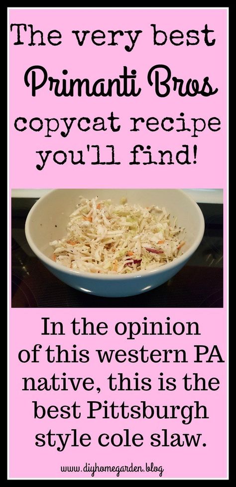 Pittsburgh Food, Raw Cabbage, Coleslaw Recipe Easy, Diy Home Garden, Slaw Dressing, Coleslaw Dressing, Slaw Recipe, Leaf Blowers, Cole Slaw