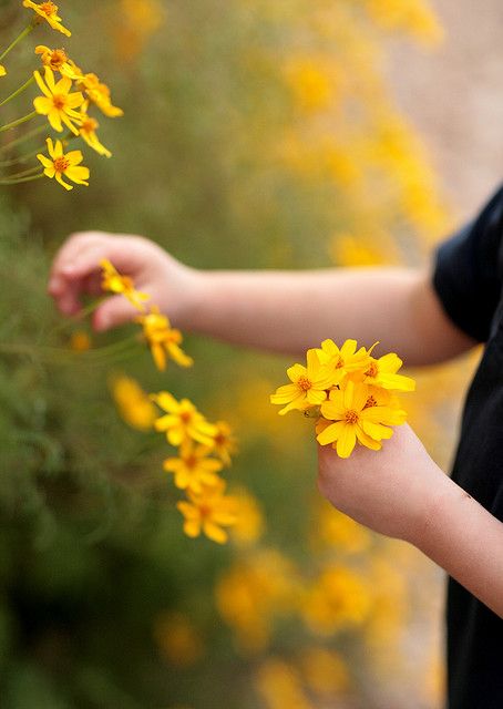 Flowers are so amazing to take pictures of....love capturing the beauty. Quiet Storm, Picking Flowers, Gautama Buddha, The Meadows, Mellow Yellow, Simple Pleasures, Love Flowers, Hippie Style, My Flower