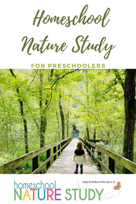 Preschool Homeschool Nature Study for Young People - Homeschool Nature Study Nature Preschool Activities, Nature Study Preschool, Nature Preschool, Backyard Nature, Nature Based Learning, Homeschool Nature, Kindergarten Homeschool Curriculum, Homeschool Nature Study, Homeschool Preschool Activities