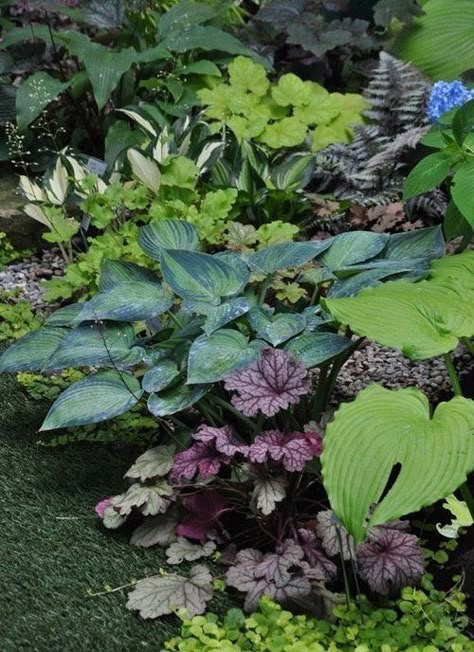 Shade Garden Design, Dark Garden, Shade Garden Plants, Hosta Gardens, Cottage Garden Design, Garden Shrubs, Have Inspiration, Beautiful Flowers Garden, Woodland Garden