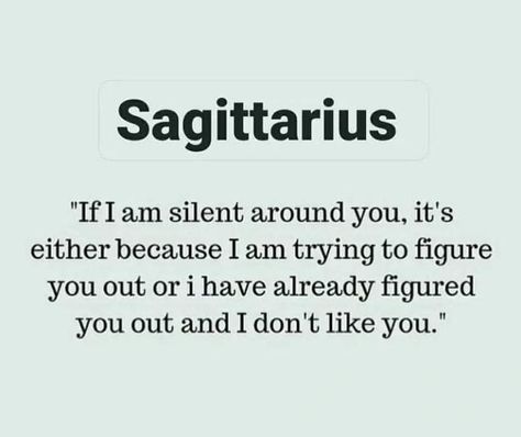 Sagittarius Humor, Sagittarius Quotes Facts, Horoscope Sagittarius, Sagittarius Traits, Sagittarius Personality, Zodiac Sagittarius Facts, Sagittarius Love, Self Respect Quotes, Circle Quotes