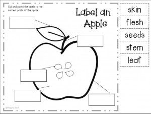 Investigating Apples! A labeling freebie :) - Maggie's Kinder Corner Apple Labeling Kindergarten, Apple Investigation Kindergarten, Apple Investigation Free Printable, Apple Investigation Preschool, Apple Worksheet, Apple Investigation, Kindergarten Math Patterns, Preschool Apples, Labeling Kindergarten