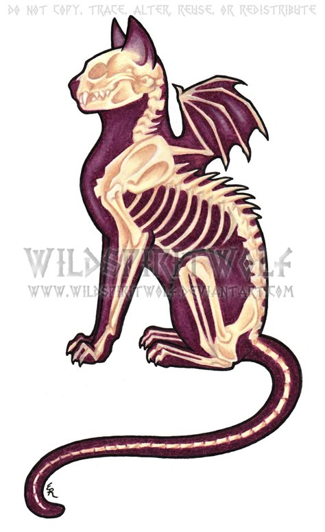 Gothic Drawings, Skeleton Cat, Cat Skeleton, Skeleton Drawings, Cat Anatomy, Animal Skeletons, Posca Art, Skeleton Art, Sphynx