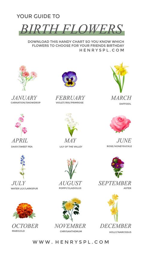 Your Guide To Birth Month Flowers Flower Chart, Birth Flower Tattoos, Geniale Tattoos, Flower Guide, Flower Meanings, 카드 디자인, Language Of Flowers, Month Flowers, Birth Month Flowers