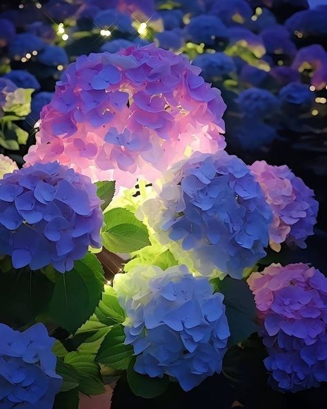 (5) japan no Tumblr Blue Purple Aesthetic, Hydrangea Aesthetic, April Moodboard, Pretty Backrounds, Shinjuku Japan, Japanese Tokyo, Pretty Flowers Pictures, Sacred Garden, About Japan