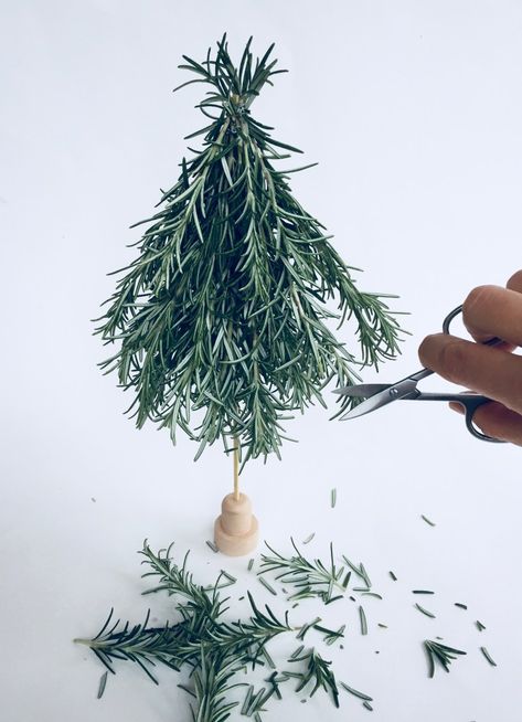 DIY Rosemary Tree - Mamma Mode Christmas Twigs Branches, Diy Twig Tree, Rosemary Christmas Tree, Christmas Botanicals, Rosemary Tree, Christmas Decorations Australian, Christmas Booth, Christmas Greens, Christmas Tree Craft