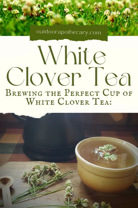 Unlock the secrets of brewing the perfect cup of white clover tea. Discover the steps, tips, and benefits of this delightful herbal infusion for a truly rejuvenating experience. Clover Tea Benefits, White Clover Tea, Diy Herbal Tea Blends, Tincture Benefits, Diy Herbal Tea, Growing Herbs Inside, Clover Tea, Herbalism For Beginners, Growing Herbs In Pots