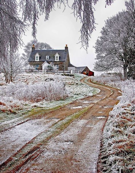 Cozy Room Ideas, Room Ideas For Men, Room Ideas For Men Bedroom, Scottish Cottages, Men Bedroom, Home Decor Cozy, Scottish Countryside, Countryside Cottage, Irish Cottage