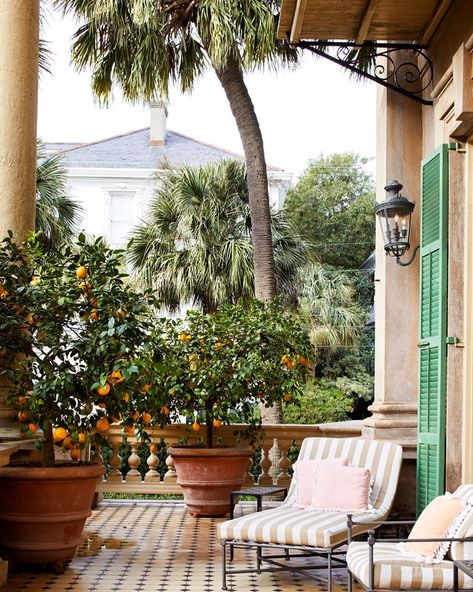 Jane French Home on Instagram: “I love Patricia Altschul‘s Charleston home. Every room is beautifully decorated, including this porch area. Potted citrus gets me every…” Traditional Southern Home, Patricia Altschul, Italian Cottage, Southern Belle Secrets, Mario Buatta, Southern Mansions, Glam Pad, Southern Design, Charleston Homes