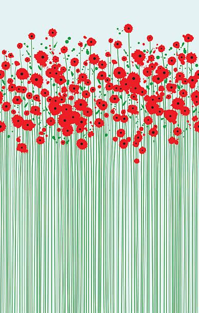 2,649 Spring Flowers Outline Stock Photos, High-Res Pictures, and Images - Getty Images Flowers Outline, Spring Illustration, Flower Outline, Motif Vintage, Clear Blue Sky, Flower Graphic, Arte Popular, Poppy Flower, Flower Tutorial