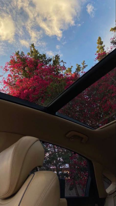 Sunroof Car Aesthetic, Instagram Layout Aesthetic, Sunroof Car, Dream Cars Audi, Fake Snapchat, Layout Aesthetic, Wedding Logo Design, Fake Stories, Cars Audi