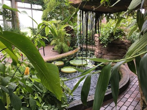 Garfield Park Conservatory & Sunken Garden (Indianapolis) - 2018 All You Need to Know Before You Go (with Photos) - TripAdvisor Conservatory Garden Central Park, Como Park Conservatory, Garfield Park Conservatory Wedding, Franklin Park Conservatory Wedding, Garfield Park Conservatory, Sunken Gardens, Rare Orchids, Sunken Garden, Children's Garden