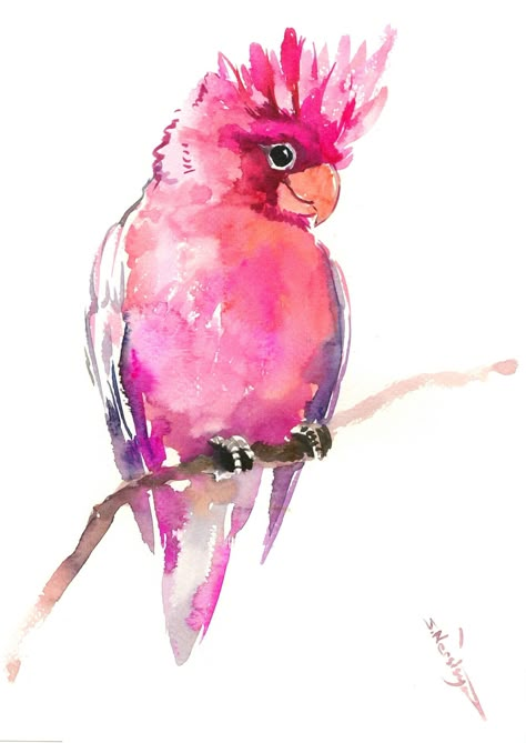 Galah Bird, Complementary Color Scheme, Galah Cockatoo, Pink Cockatoo, Learn Watercolor Painting, Bird Watercolor Paintings, Learn Watercolor, Water Painting, Watercolor Bird