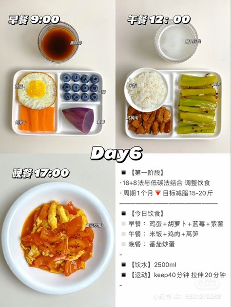 Chinese Diet Aesthetic, Korean Diet Meal Plan, Diet Meal Recipes, Home Workout Ideas, Chinese Diet, Korean Diet, Healthy Menu, Makanan Diet, Healthy Food Motivation